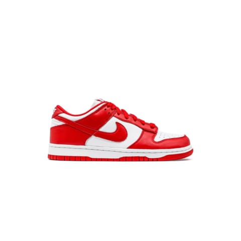 Nike Dunk Low Sneakers